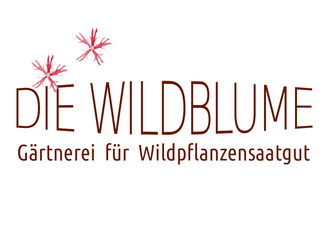 Wildblumensamen kaufen, Wildblumensamen Balkon, Wildblumenmischung mehrjährig, Wildblumensaatgut Balkon, Regiosaatgut Brandenburg Berlin, Wildblumensamen Brandenburg, Wildblumensamen mehrjährig, Wildblumenwiese Saatgut, Blühstreifen Brandenburg